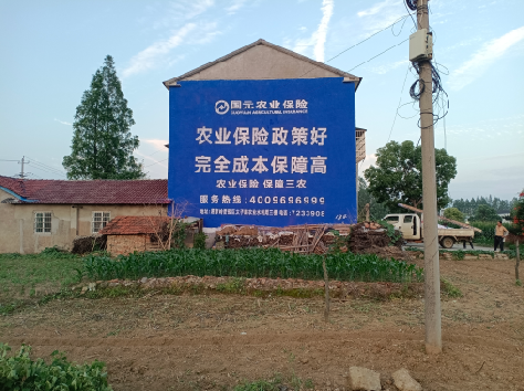 周口墙体广告为何受追捧？